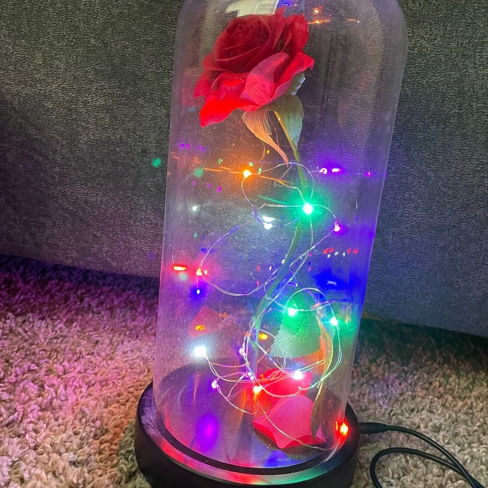 USB Beauty and the Beast  nightlight